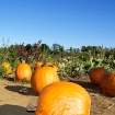 2008-10-07 (048).jpg
